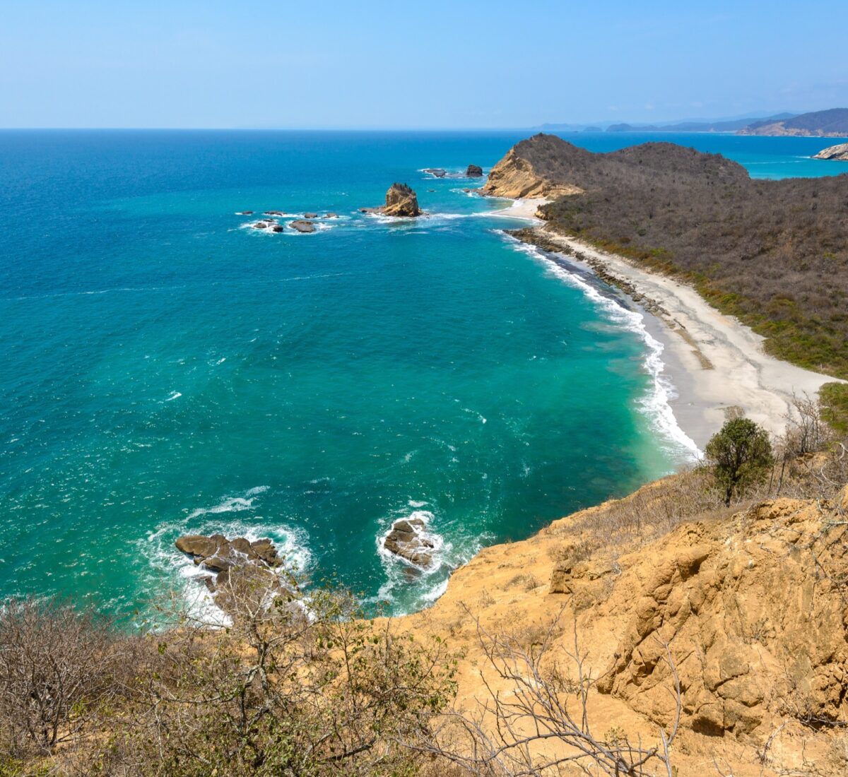 Pacific Coast