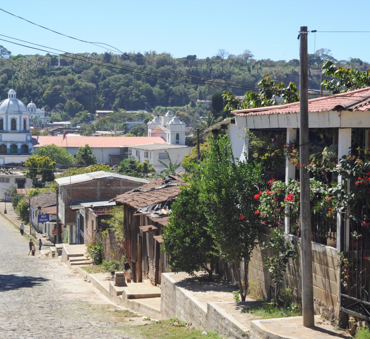 SAV_Ataco_shutterstock_178788086