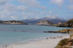 FAL_CarcassIsland_INTERNATIONALTRAVELANDTOURS_supplier (4)