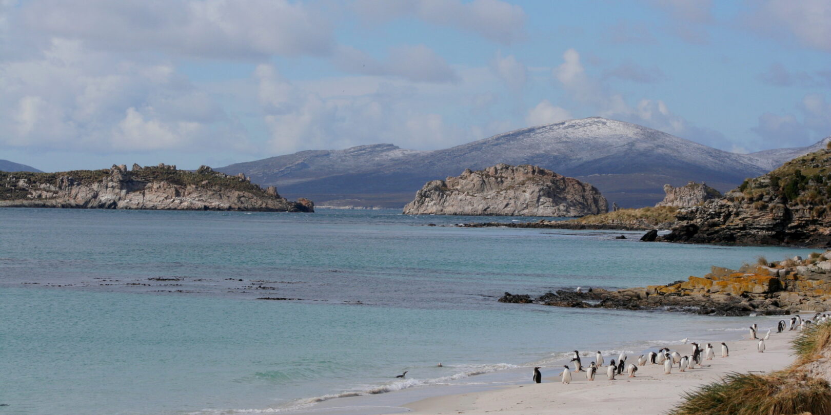 FAL_CarcassIsland_INTERNATIONALTRAVELANDTOURS_supplier (4)
