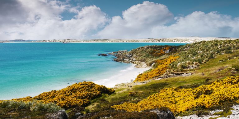 Gypsey Cove, Falkland Island