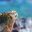 Marine Iguana