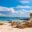 Sea lions on a sandy beach in the Galapagos