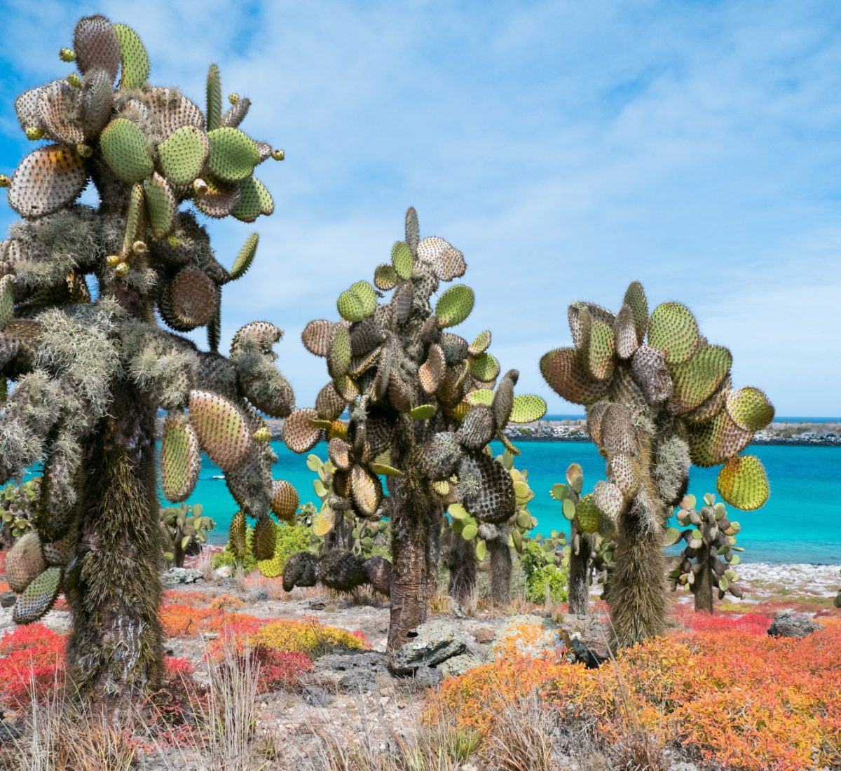 GPS_ SouthPlazaIsland_Shutterstock_136326287