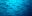 gps_hammerheadsharks_shutterstock_43956502.jpg Hammerhead