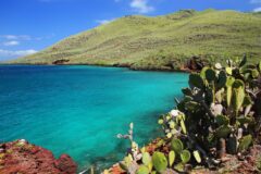 GPS_Rabida_Shutterstock_519888232 Rabida