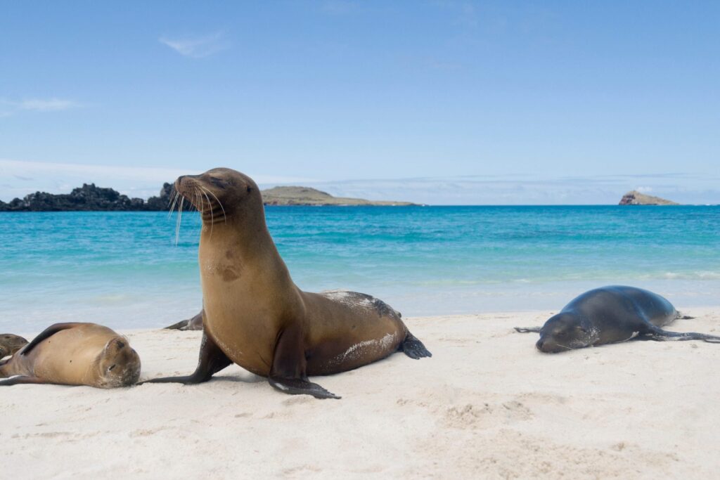 Galápagos Islands