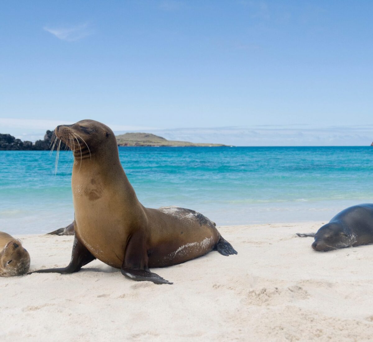 Galápagos Islands