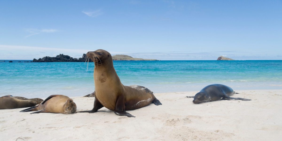 Galápagos Islands