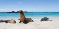 ShutterStock © Galápagos Islands