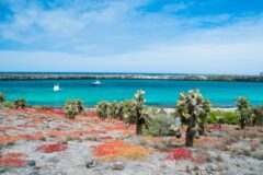 ShutterStock © South PLaza