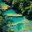 Semuc Champney