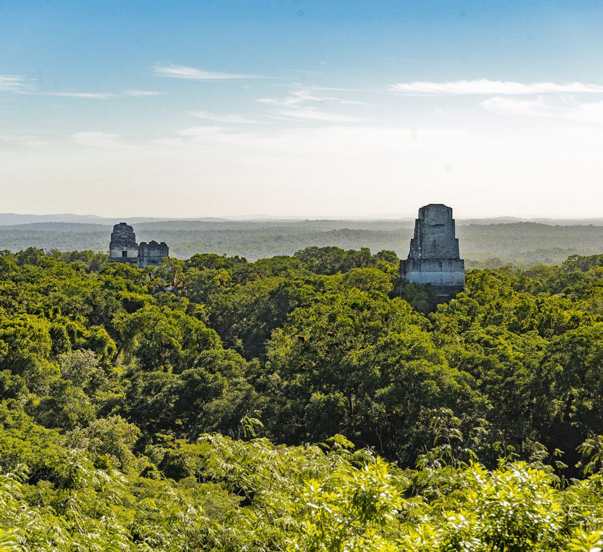 Tikal