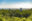Tikal national park in Guatemala Tikal