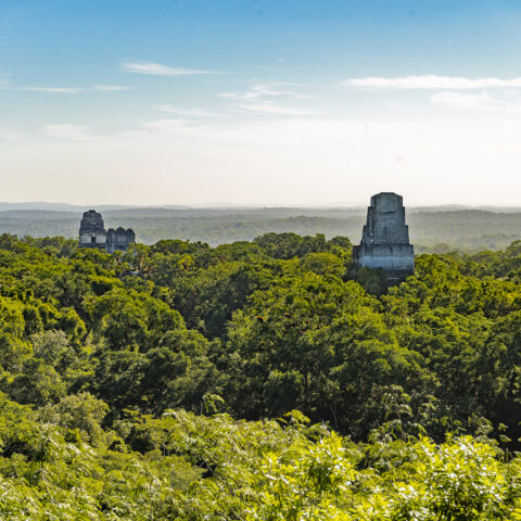 Tikal