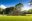 ShutterStock © Copan
