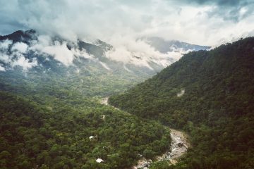 Pico Bonito