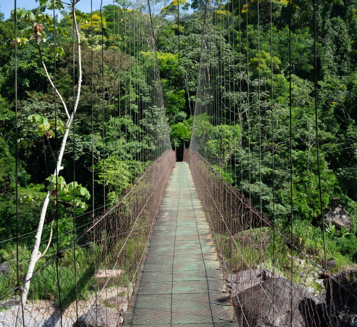 Pico Bonito Entrance way