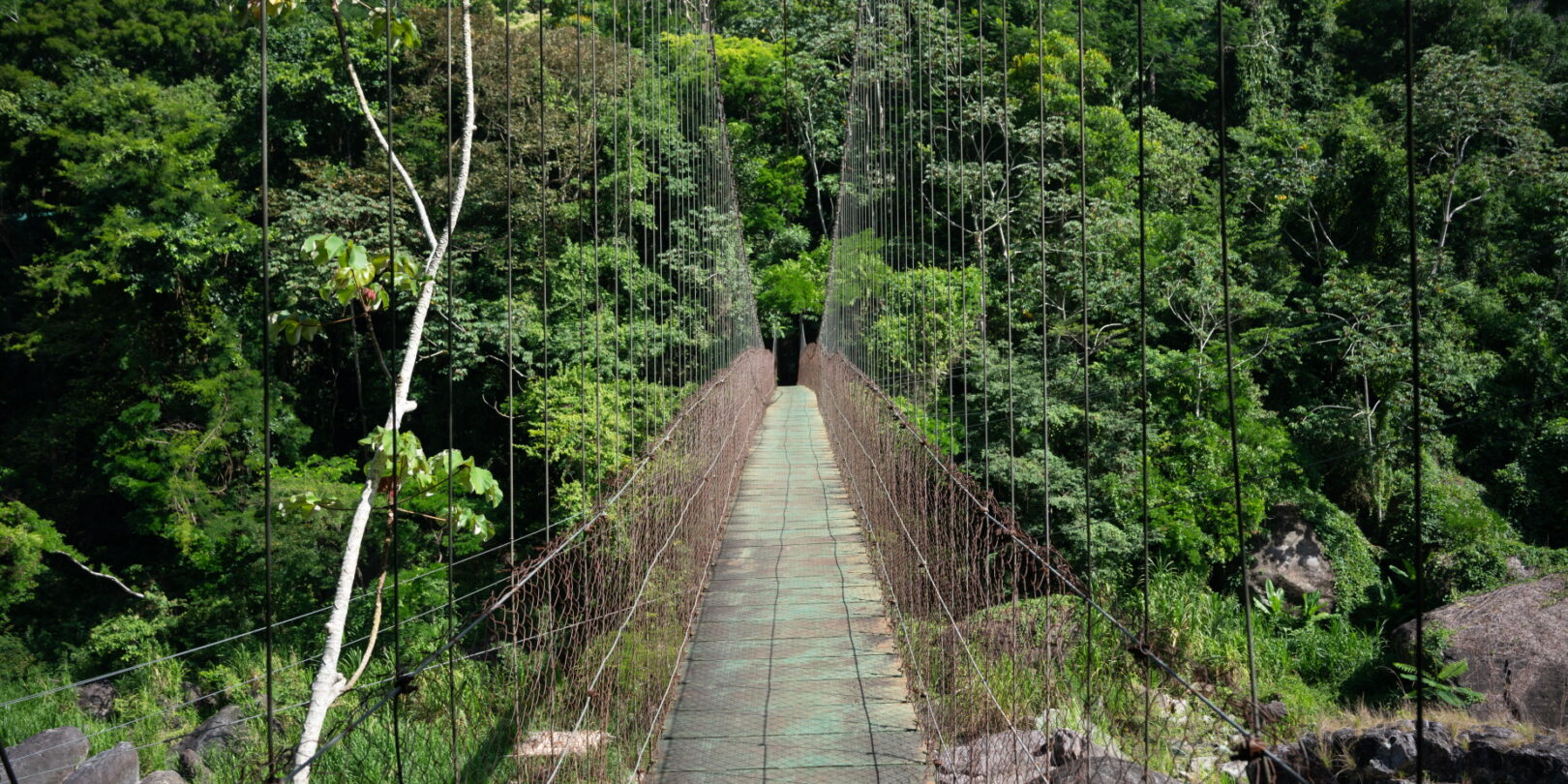 Pico Bonito Entrance way