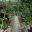 Pico Bonito Entrance way