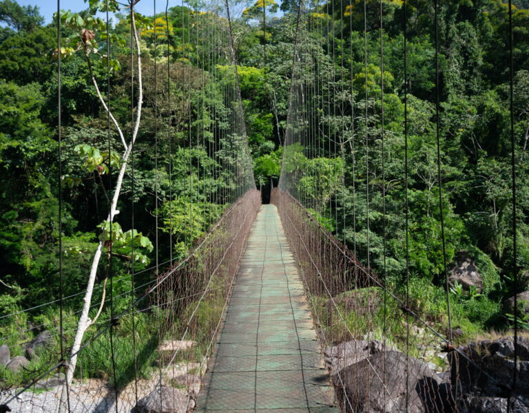 Pico Bonito Entrance way
