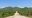 Sandy road through cactus-covered landscape, Mexico