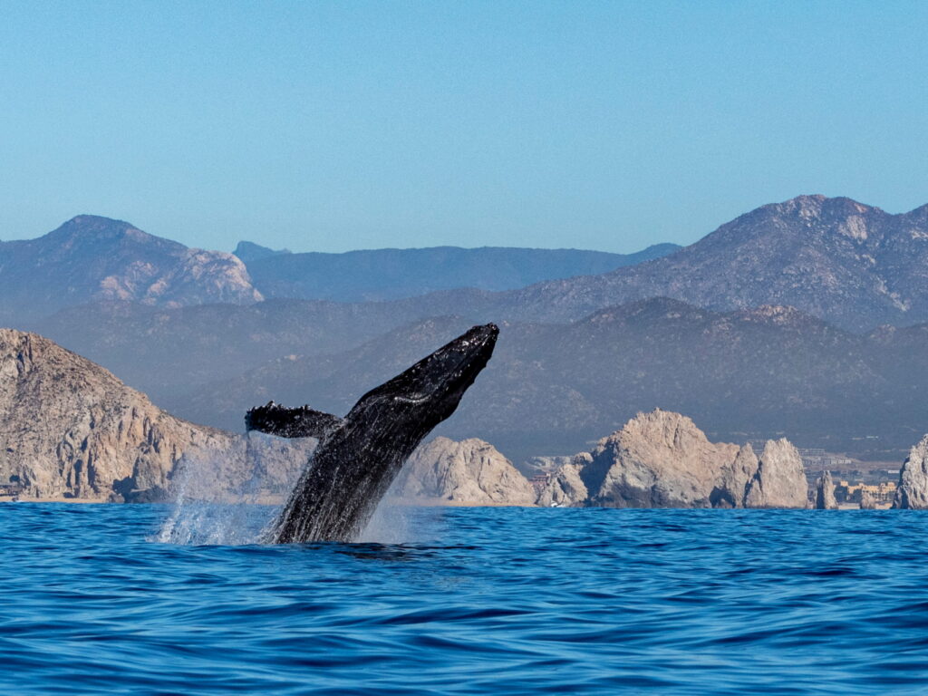 Baja California