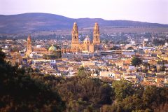 MEX_Morelia_CondorVerde_supplier Morelia