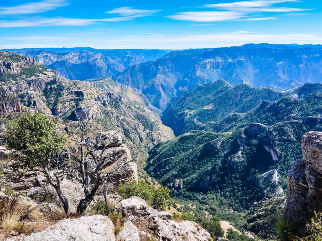 Copper Canyon