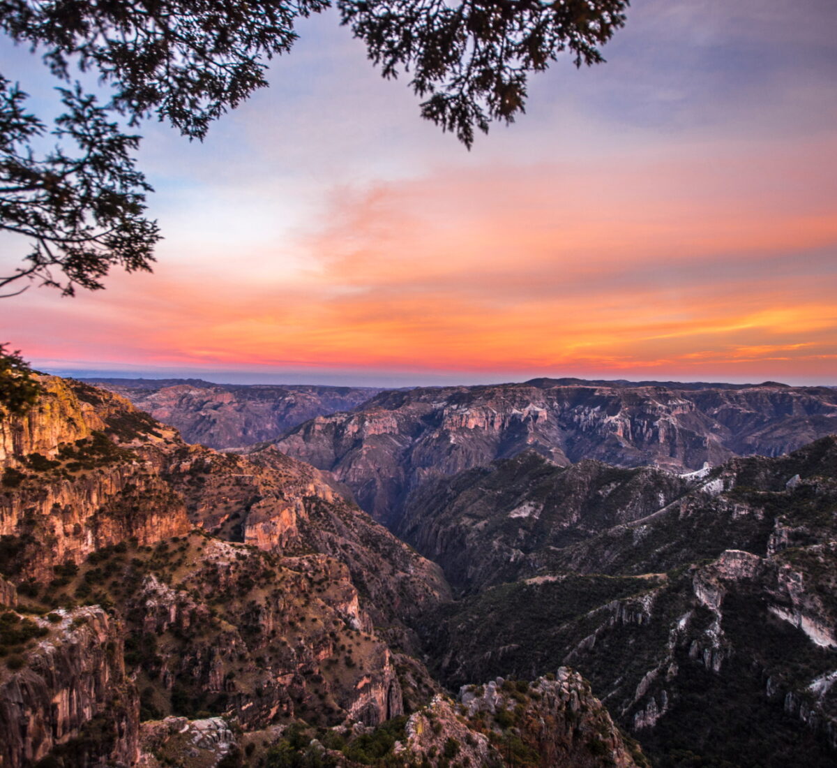 Copper Canyon