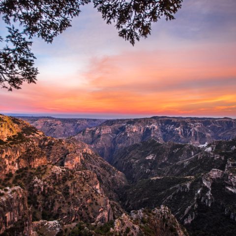 Copper Canyon