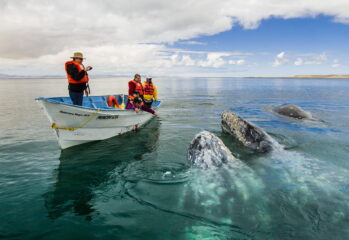 Baja California