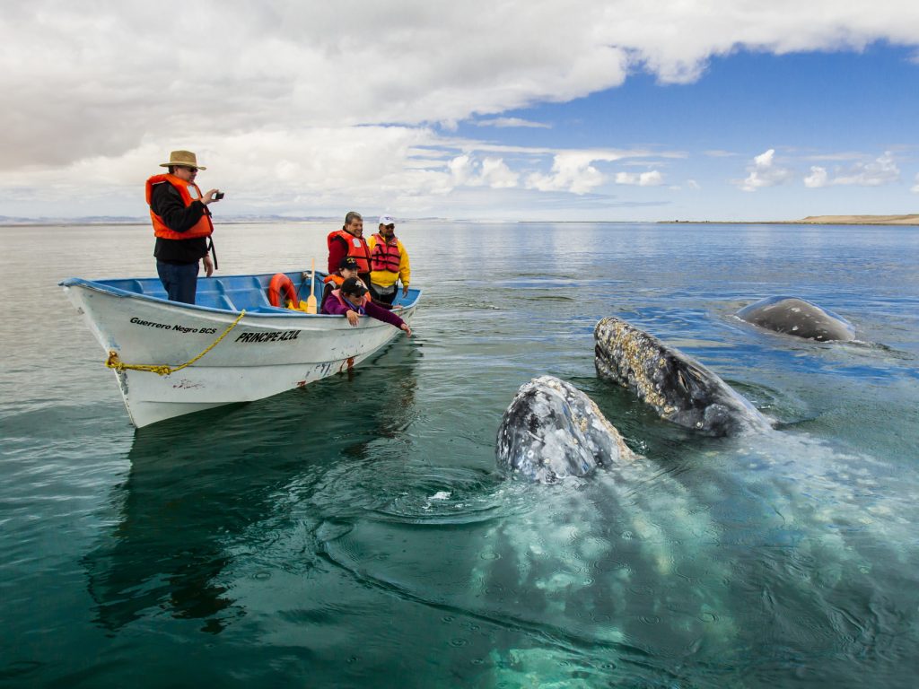 Baja California
