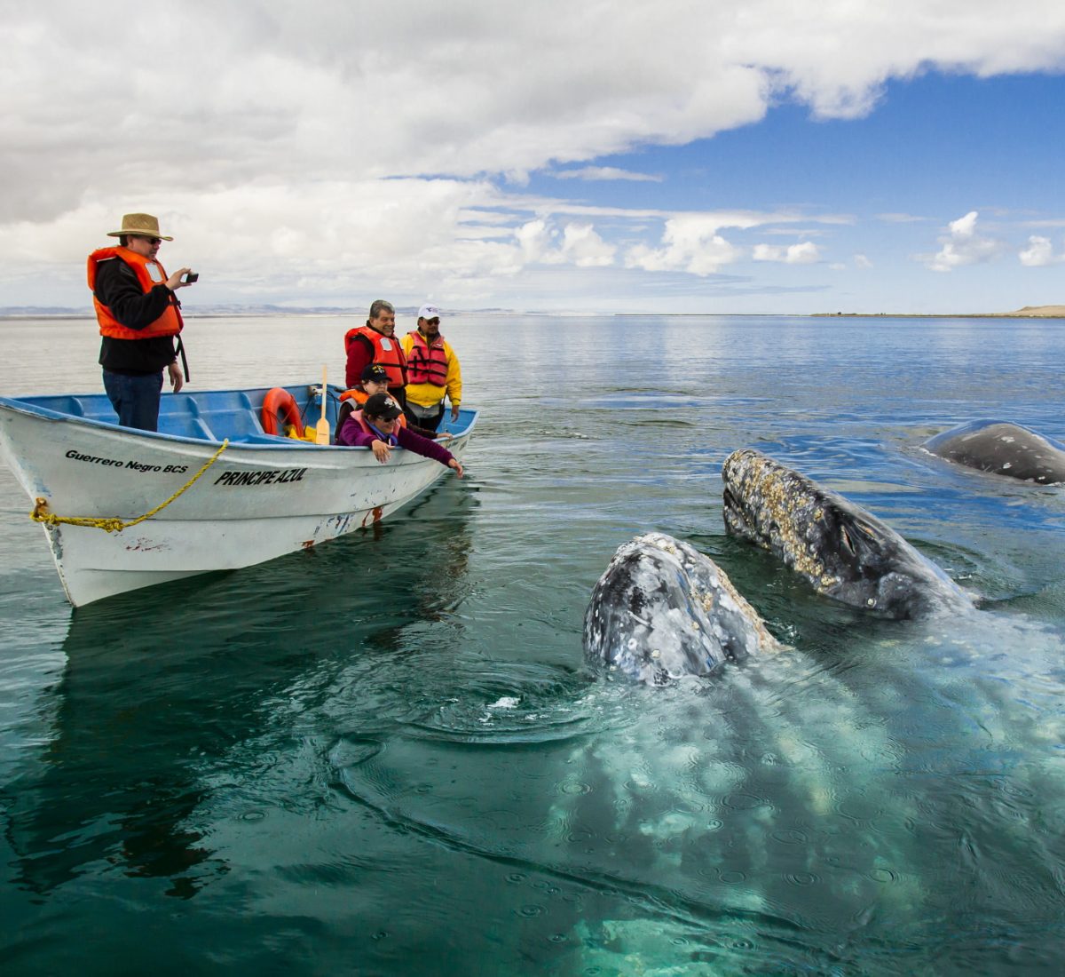 Baja California