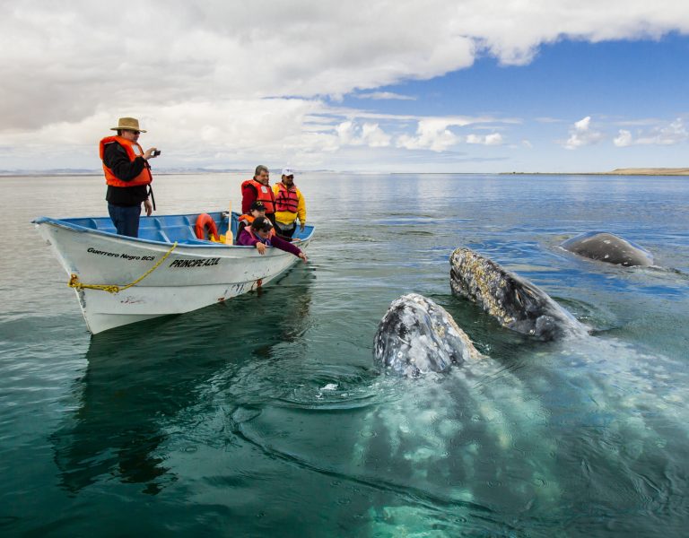 Baja California
