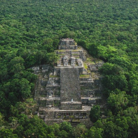 Calakmul Mexico