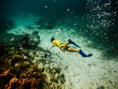 NIC_CornIsland_Snorkelling_Shutterstock_1253684830 Snorkelling