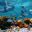snorkelling