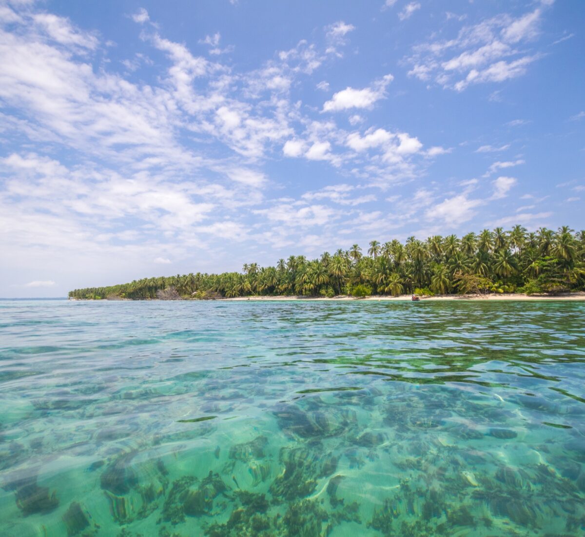 Bocas del Toro