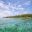 Bocas del Toro