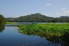 Lake Gatun