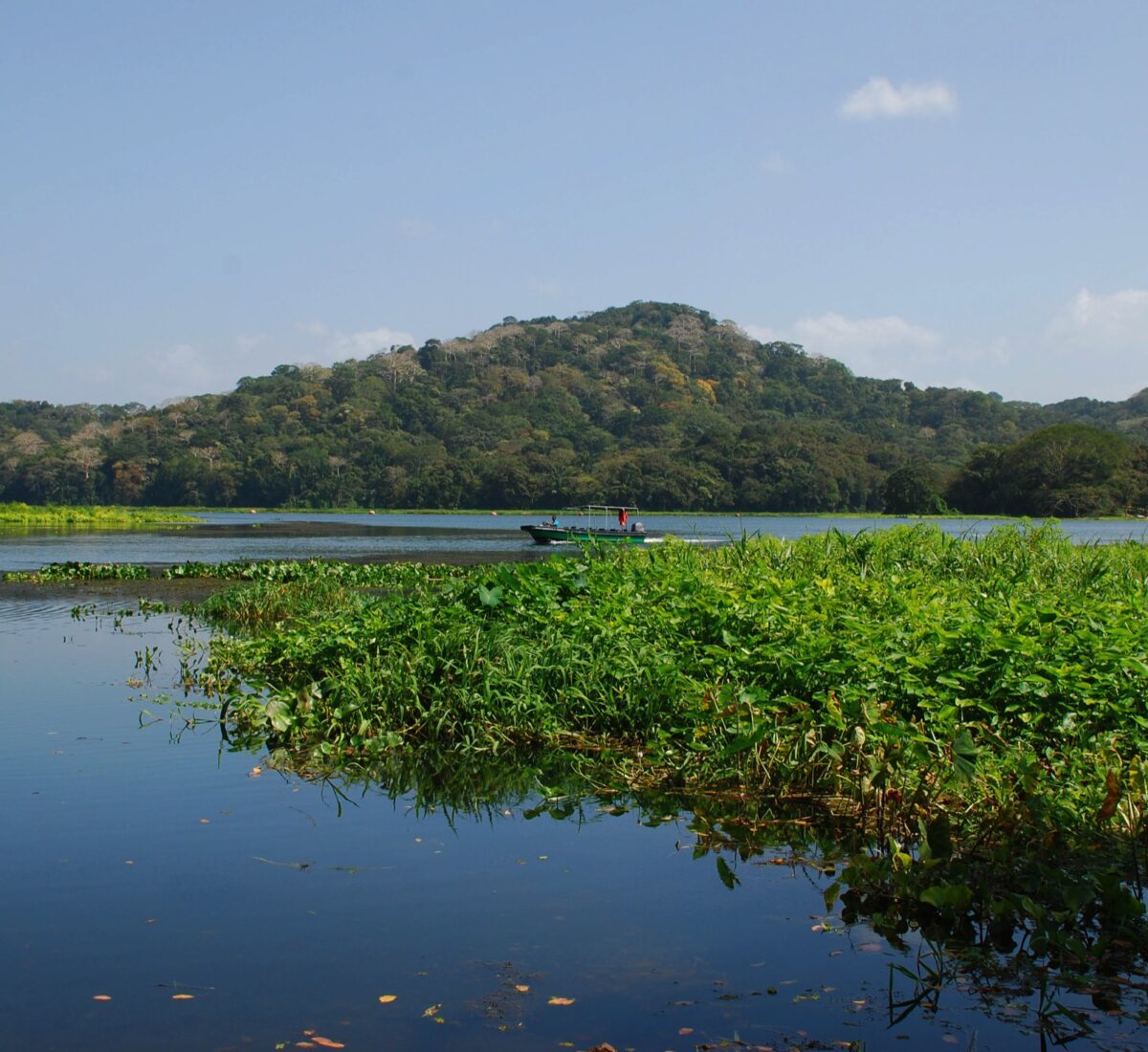 Lake Gatun