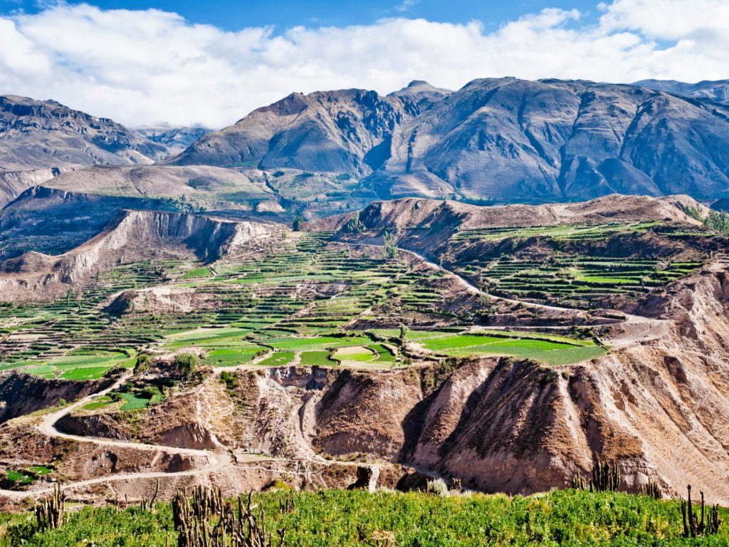 Colca Canyon