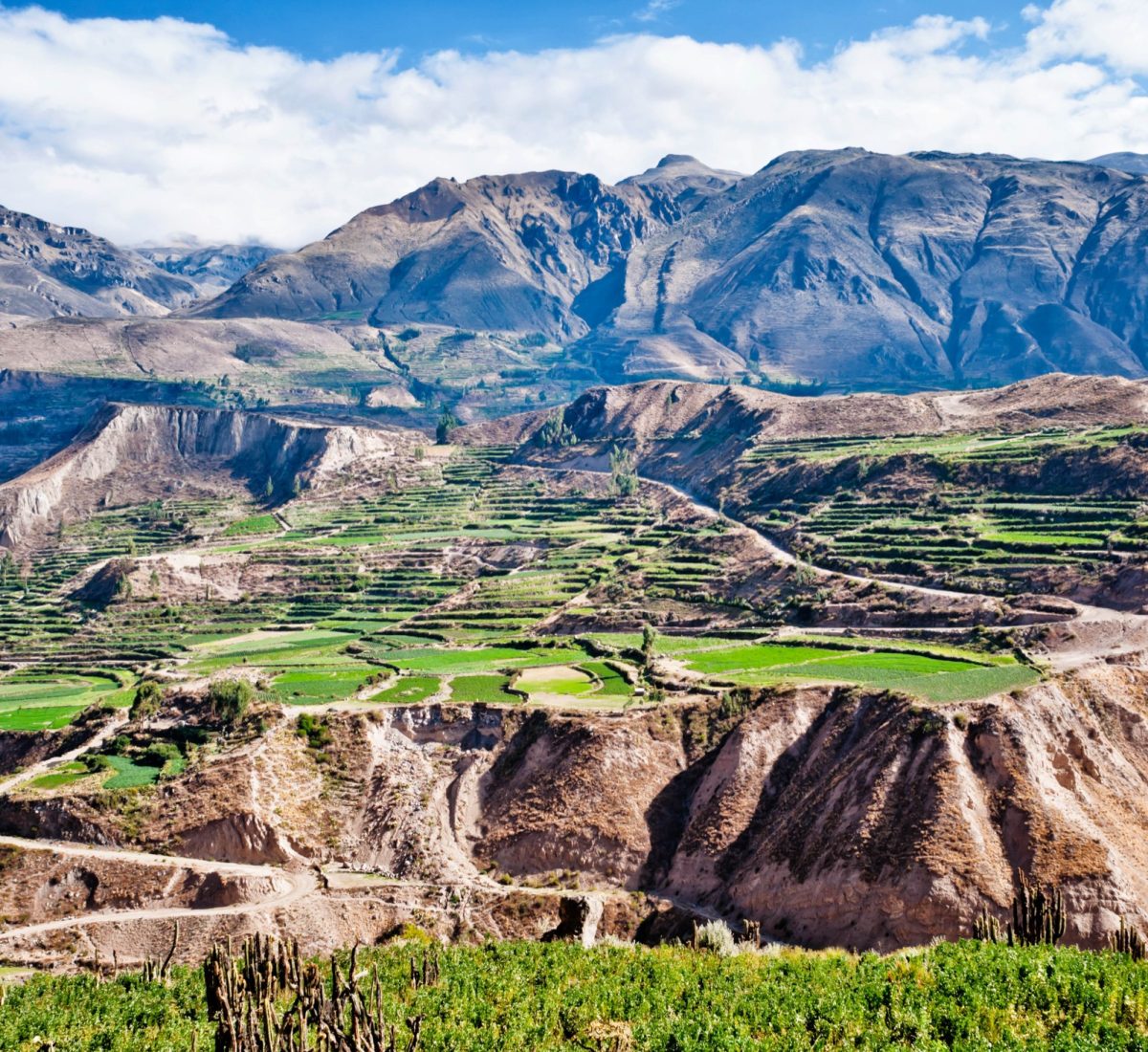 Colca Canyon