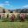 Sacsayhuaman