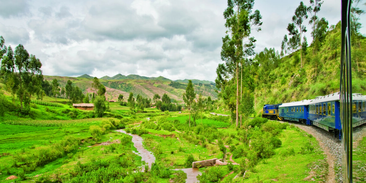 Train passing through greenery in the Peruvian Andes