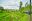 PER_Cusco_HiramBingham_BELMOND_supplier (10) PER_Cusco_HiramBingham_BELMOND_supplier (10)