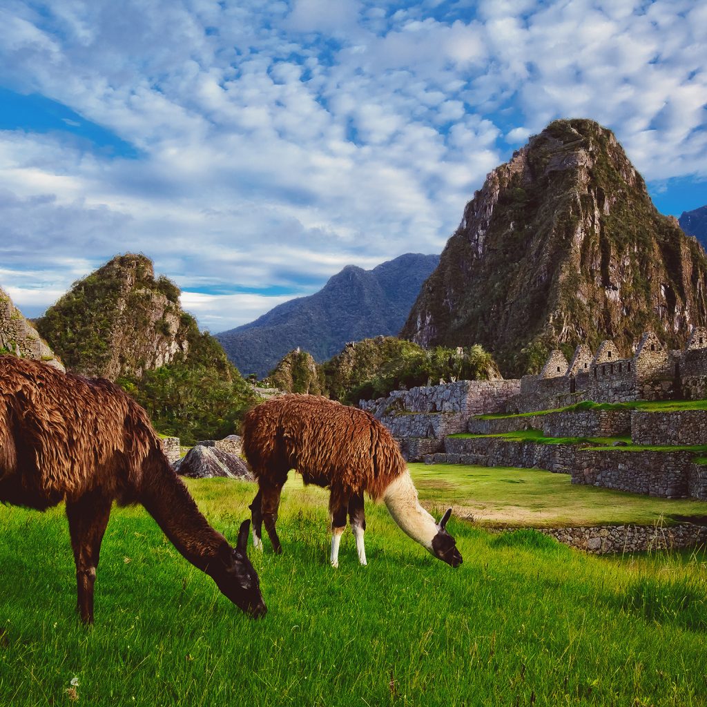 Machu Picchu