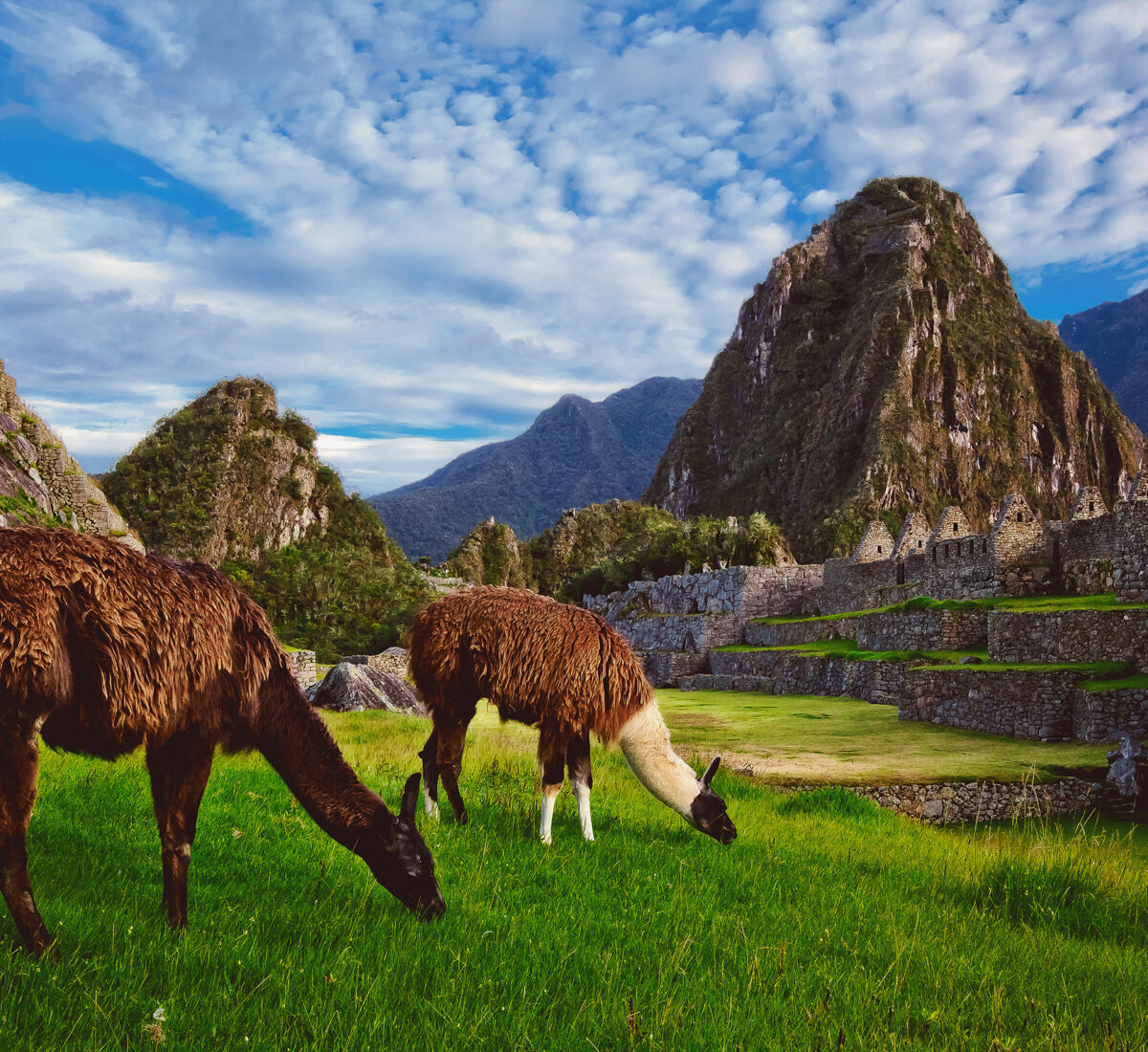 Machu Picchu