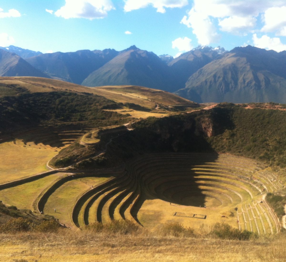 Moray